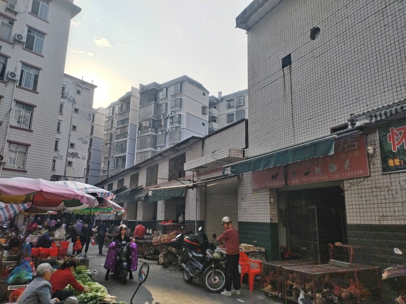 z6com�������ǲ��ӳطֹ�˾����ͨ��